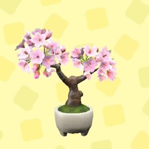 あつ森のさくらのぼんさい