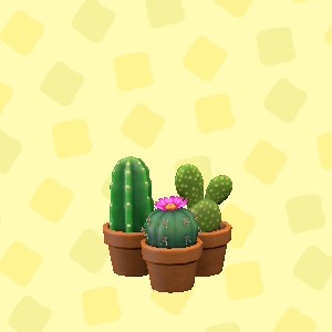 あつ森のミニサボテンセット