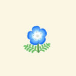 ポケ森のあおいネモフィラ