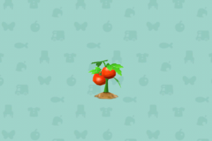 ポケ森のこだわりのトマト