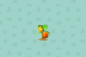 ポケ森のこだわりのパプリカ