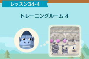 ポケ森のノーマルレッスン34-4