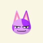 ポケ森のニコバン