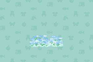 ポケ森のほしのていえんのはなばたけ