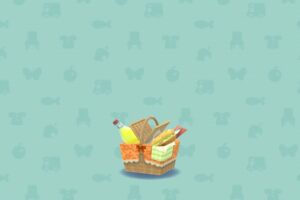 ポケ森のカントリーバスケット・オレンジ