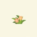 ポケ森のオレンジのハリボテのはな