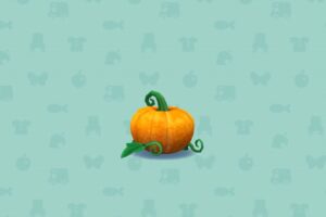 ポケ森のオレンジのマジカルパンプキン