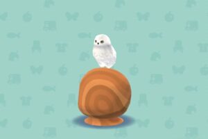 ポケ森のあたまのせフクロウ・ホワイト