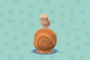 ポケ森のあたまのせフクロウ・ブラウン