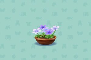 ポケ森のむらさきのしばざくら