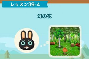 ポケ森のノーマルレッスン39-4
