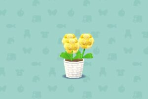 ポケ森のきいろいポンポンフラワー
