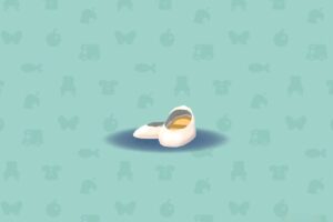ポケ森のじゅんぱくのパンプス
