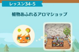 ポケ森のノーマルレッスン34-5