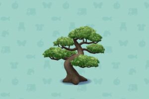 ポケ森のひのでのおてらのまつのき
