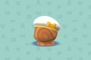 ポケ森のアイドルなぼうし
