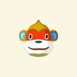 ポケ森のエテキチ